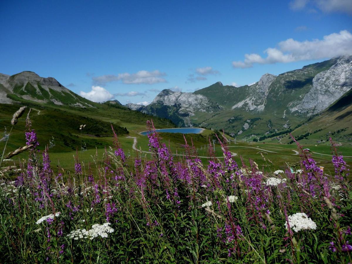 "Chalet Les Aravis" Chalet Et Appartements Le Grand-Bornand Buitenkant foto