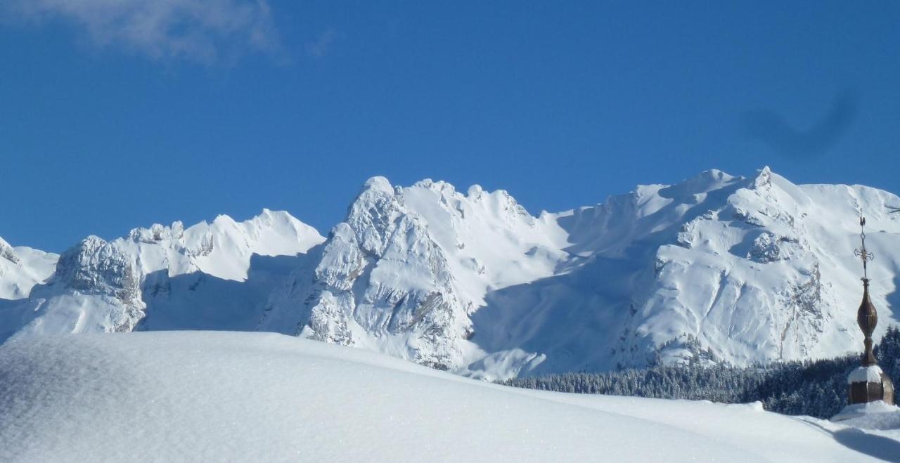 "Chalet Les Aravis" Chalet Et Appartements Le Grand-Bornand Buitenkant foto