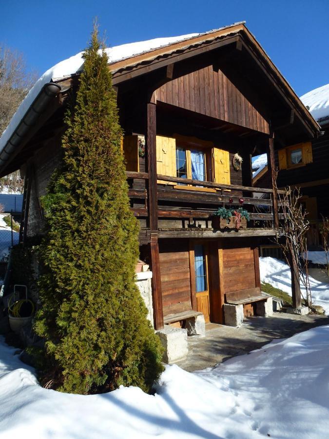 "Chalet Les Aravis" Chalet Et Appartements Le Grand-Bornand Buitenkant foto